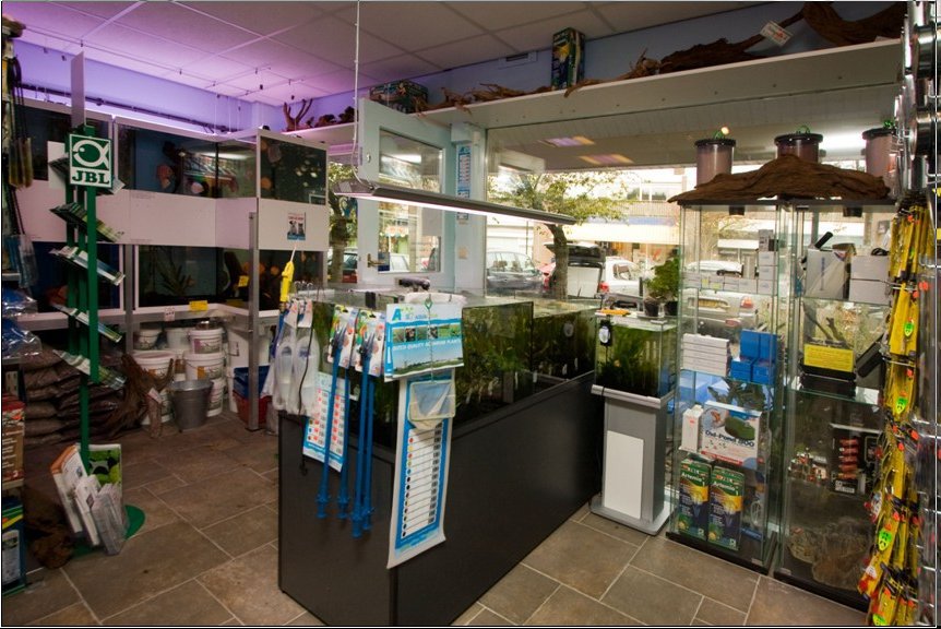 DiscusCompleet Aguaria & Hengelsport